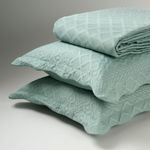 10 01 0518 Colhca Gaya Verde 002.jpg