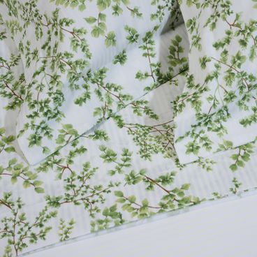 Jogo de Lençol 300 Fios Tilia - Branco / Verde