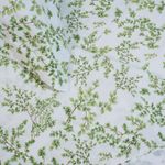10 01 0548 Jogo de Lencol Tilia Branco Verde 003.jpg